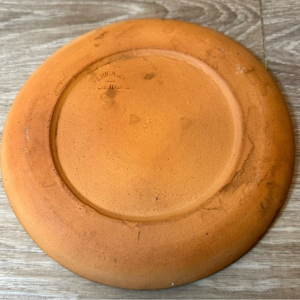 Toucan Birds Brazilian Terra Cotta Crackle Glaze 9.5